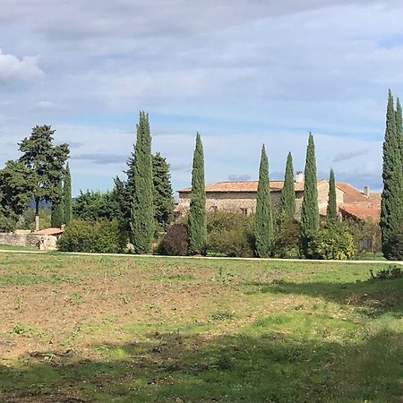 Chambres D'Hotes - Le Mas Du Colombeyras Espeluche Esterno foto